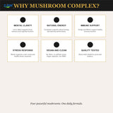 OEM/ODM Mushroom Complex Supplement – 60 Vegan Capsules | Lion's Mane, Reishi, Cordyceps & Chaga