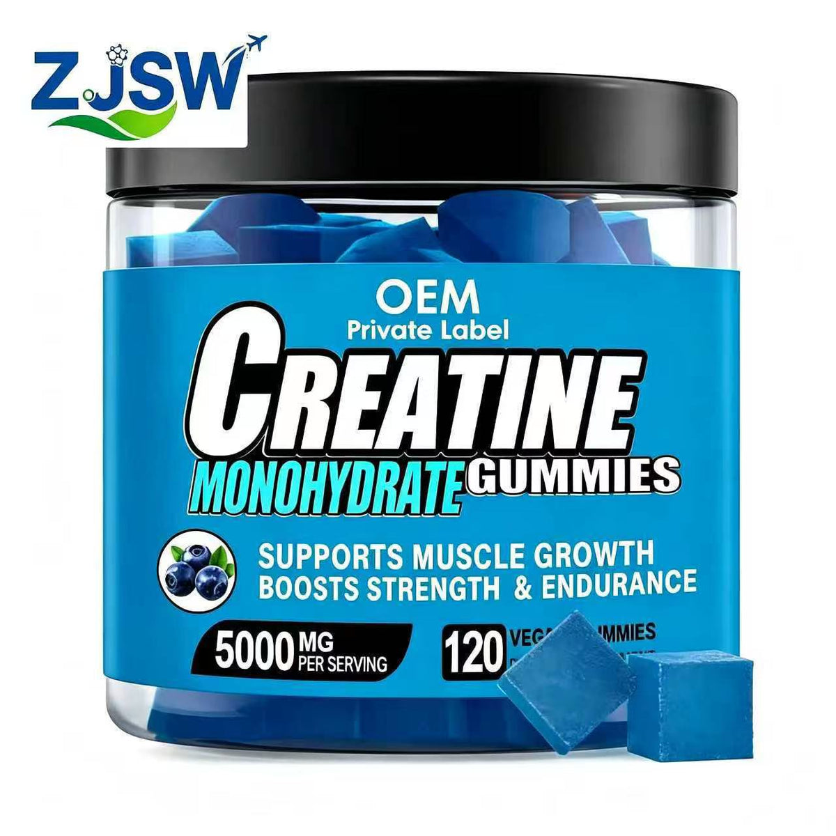 ZJSW Creatine Monohydrate Gummies – Blueberry Flavor 5000mg (120 Vegan Gummies)