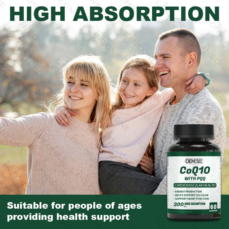 ZJSW CoQ10 with PQQ Capsules 300mg High Absorption – Cardiovascular Health (60 Capsules)