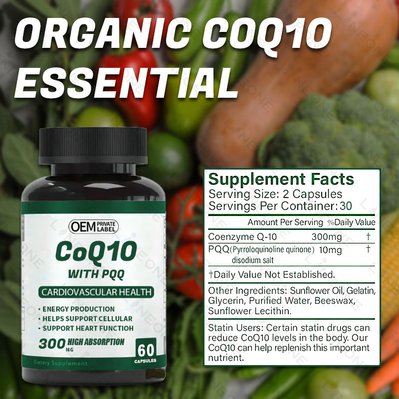 ZJSW CoQ10 with PQQ Capsules 300mg High Absorption – Cardiovascular Health (60 Capsules)