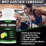 Garcinia Cambogia Extract Capsules – Pure HCA Slimming Supplement (OEM Private Label)