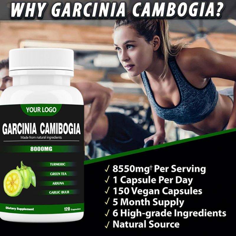 Garcinia Cambogia Extract Capsules – Pure HCA Slimming Supplement (OEM Private Label)