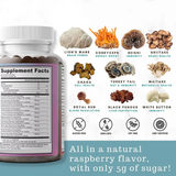 10X Mushroom Complex Gummies – 60 Count Vegan Dietary Supplement (OEM/ODM Private Label)