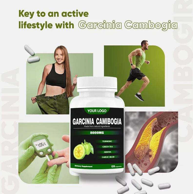 Garcinia Cambogia Extract Capsules – Pure HCA Slimming Supplement (OEM Private Label)