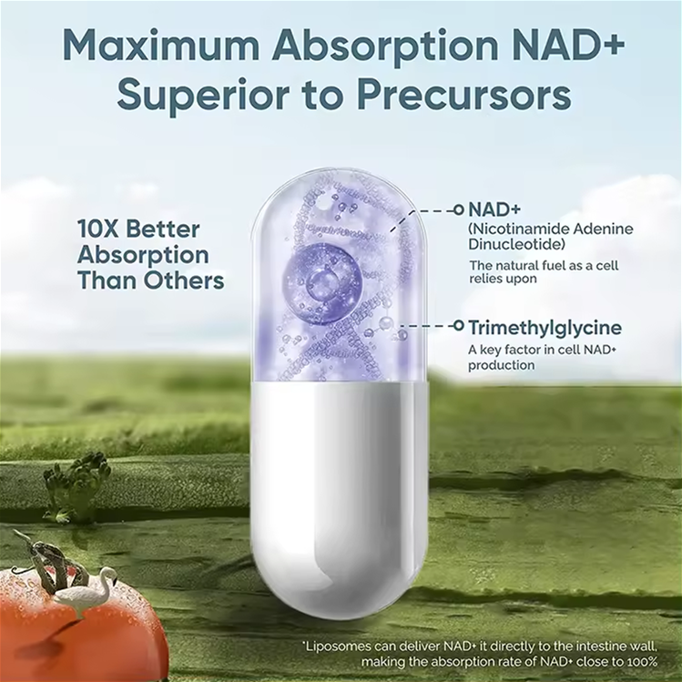 OEM ODM Anti-Aging Vegan Supplement - Vitamin D3, K2, Resveratrol & NAD (90 Capsules)