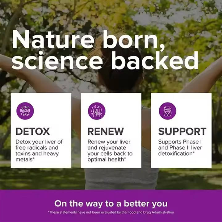 Custom Liver Protection Liver Detox Capsules 4 Plants Vitamins Milk Thistle Dandelion Cleanse Supplement