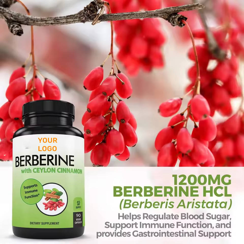 Herbal Extract Berberine HCl Capsules (400mg/500mg) - Immune Support
